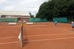 2019-07-05 19.13.40-3