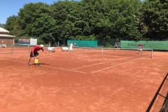IMG-20230614-WA0014
